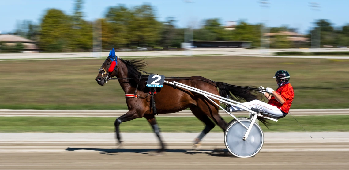 harness racing