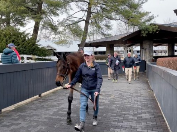 Taylor Owens leads a horse at Keeneland