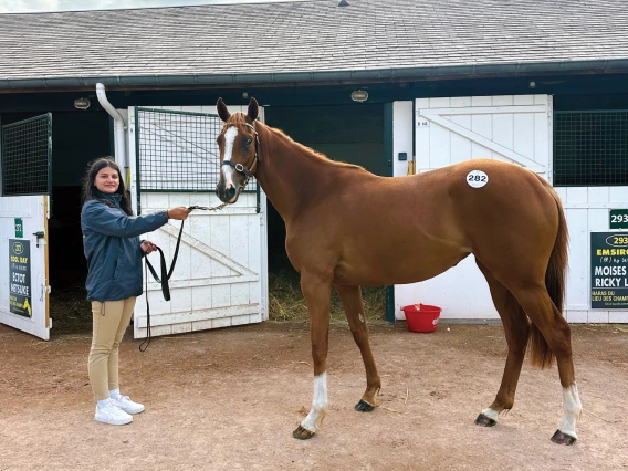 Rylin Medcoff with horse