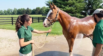 Hailey standing with horse in pasture