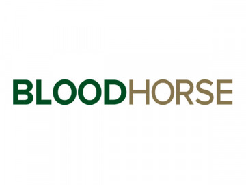 BloodHorse logo