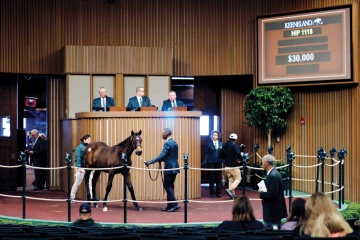 Keeneland Sale Ring