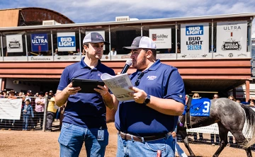 Handicapping in paddock