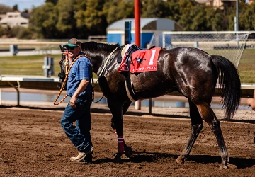 outrider